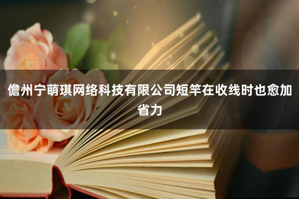 儋州宁萌琪网络科技有限公司短竿在收线时也愈加省力