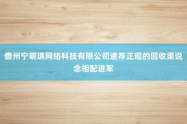 儋州宁萌琪网络科技有限公司遴荐正规的回收渠说念相配进军