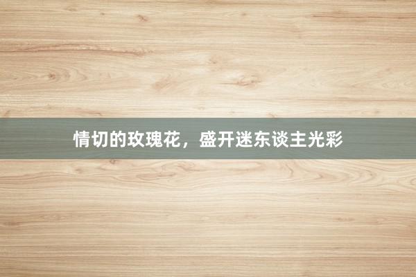 情切的玫瑰花，盛开迷东谈主光彩