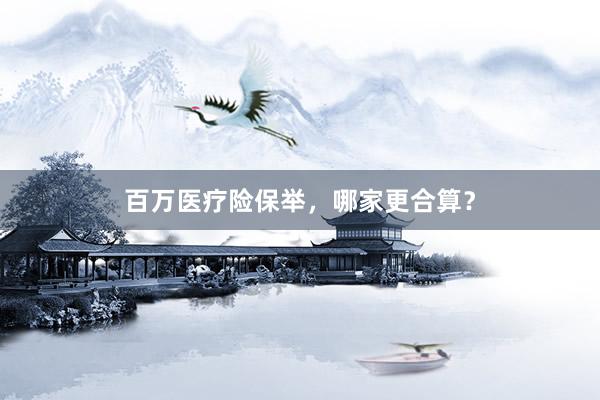 百万医疗险保举，哪家更合算？